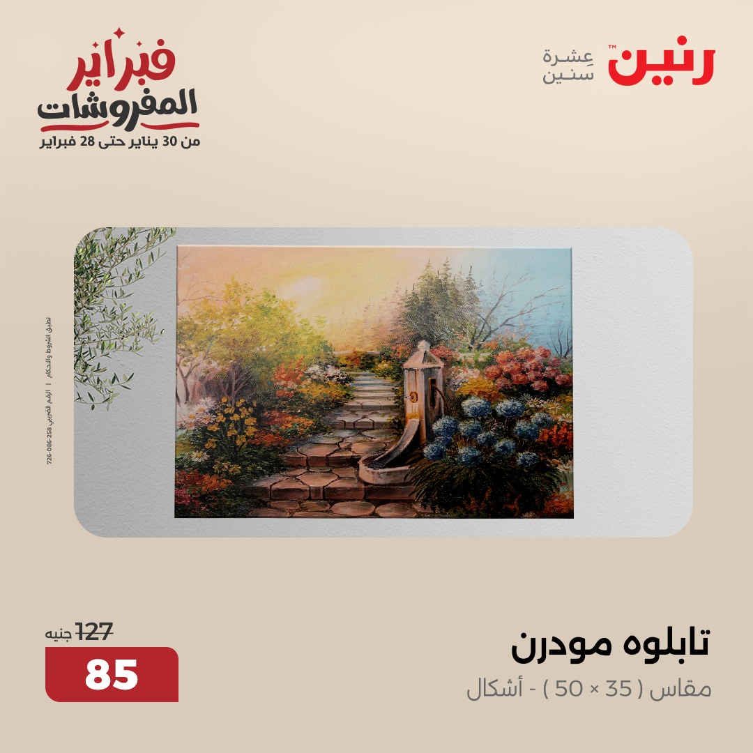 raneen offers from 13feb to 15feb 2025 عروض رنين من 13 فبراير حتى 15 فبراير 2025 صفحة رقم 9